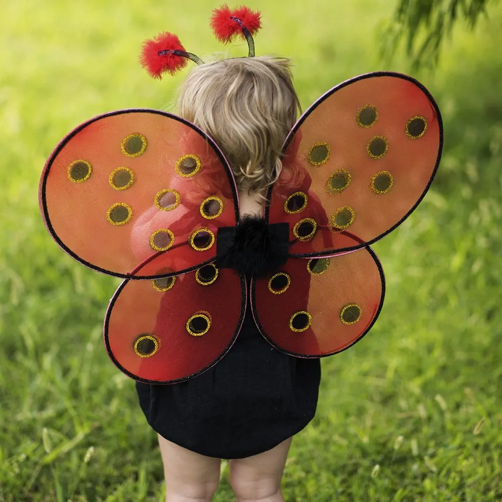 Great pretenders ladybug wings and diadem |  3 years