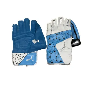 Puma Future 20.2 Cricket Wicket Keeping Gloves
